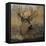 Forest Deer-Carol Robinson-Framed Stretched Canvas