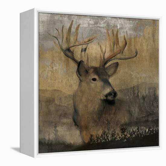 Forest Deer-Carol Robinson-Framed Stretched Canvas