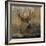 Forest Deer-Carol Robinson-Framed Art Print