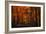 Forest Density-Philippe Sainte-Laudy-Framed Photographic Print