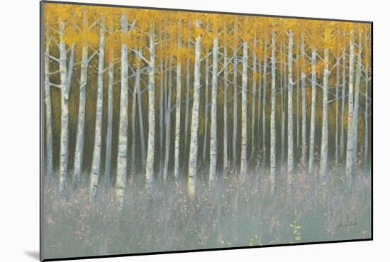 Forest Dusk-James Wiens-Mounted Art Print