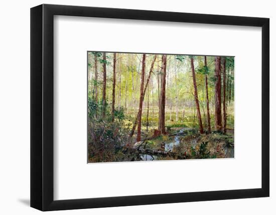 Forest Edge-Robert Moore-Framed Art Print