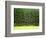 Forest Edge-Jim Craigmyle-Framed Premium Photographic Print