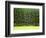 Forest Edge-Jim Craigmyle-Framed Premium Photographic Print