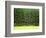 Forest Edge-Jim Craigmyle-Framed Photographic Print