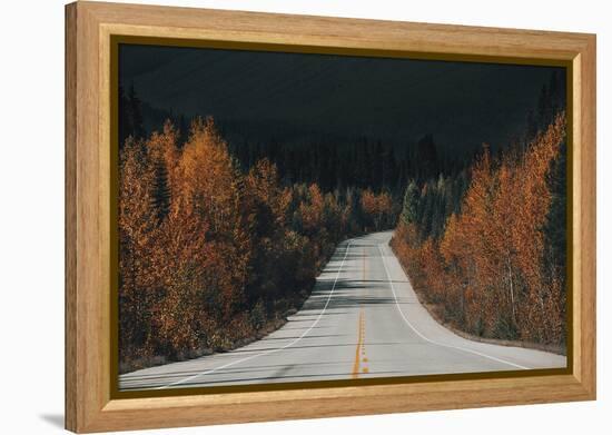 Forest Edges-Irene Suchocki-Framed Stretched Canvas