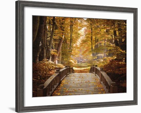 Forest Escape-Alan Lambert-Framed Giclee Print