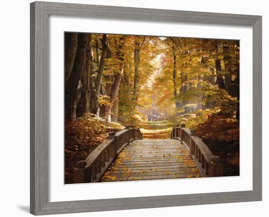 Forest Escape-Alan Lambert-Framed Giclee Print