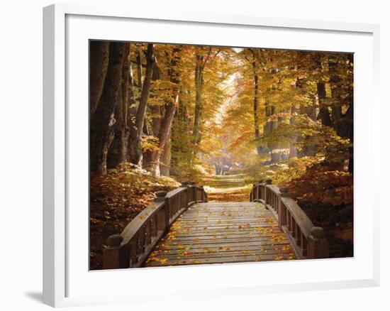 Forest Escape-Alan Lambert-Framed Giclee Print