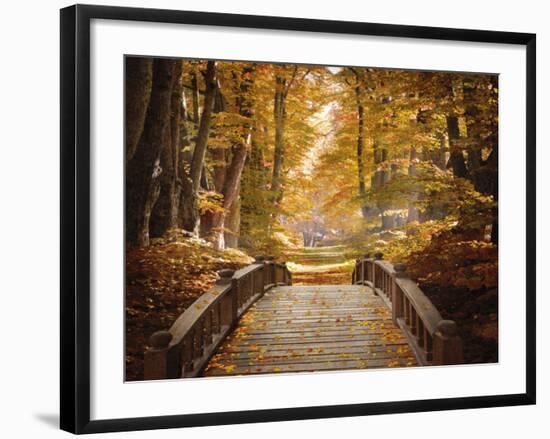 Forest Escape-Alan Lambert-Framed Giclee Print