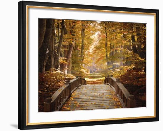 Forest Escape-Alan Lambert-Framed Giclee Print