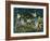 Forest Fairies-Bill Bell-Framed Giclee Print