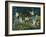 Forest Fairies-Bill Bell-Framed Giclee Print