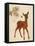 Forest Fawn-Z Studio-Framed Stretched Canvas