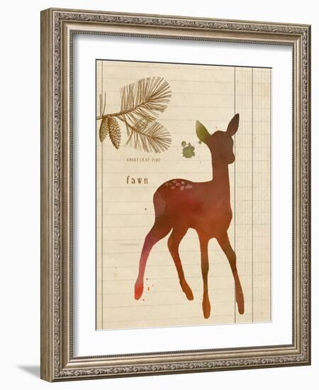 Forest Fawn-Z Studio-Framed Art Print