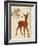 Forest Fawn-Z Studio-Framed Art Print