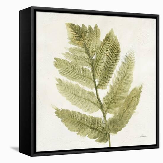 Forest Ferns I-Albena Hristova-Framed Stretched Canvas