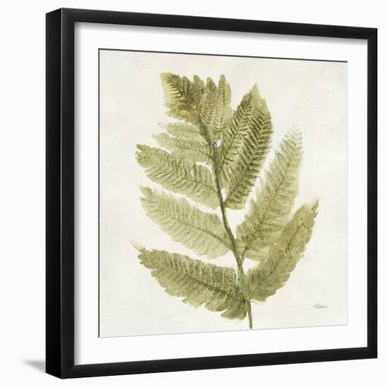 Forest Ferns I-Albena Hristova-Framed Art Print