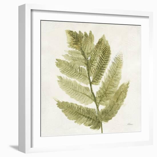 Forest Ferns I-Albena Hristova-Framed Art Print