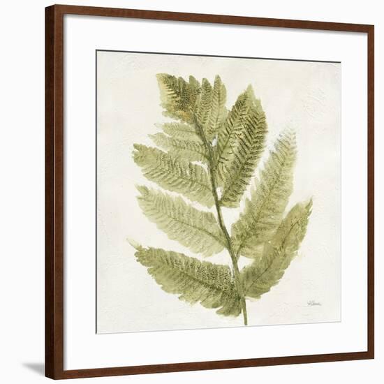 Forest Ferns I-Albena Hristova-Framed Art Print