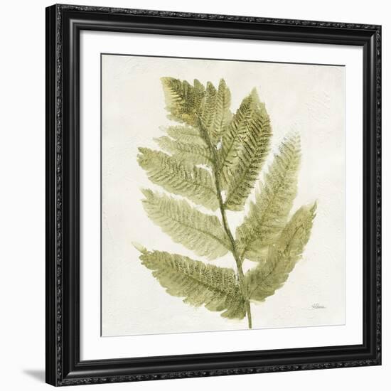 Forest Ferns I-Albena Hristova-Framed Art Print