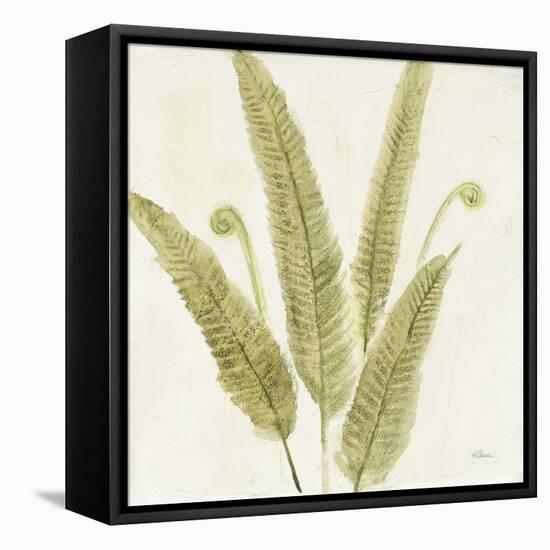 Forest Ferns II-Albena Hristova-Framed Stretched Canvas