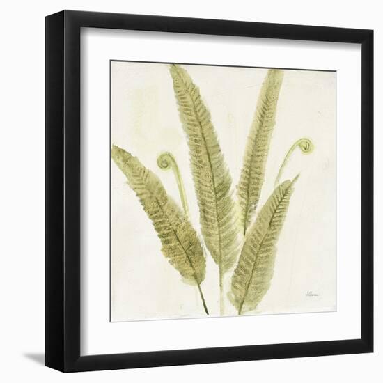 Forest Ferns II-Albena Hristova-Framed Art Print