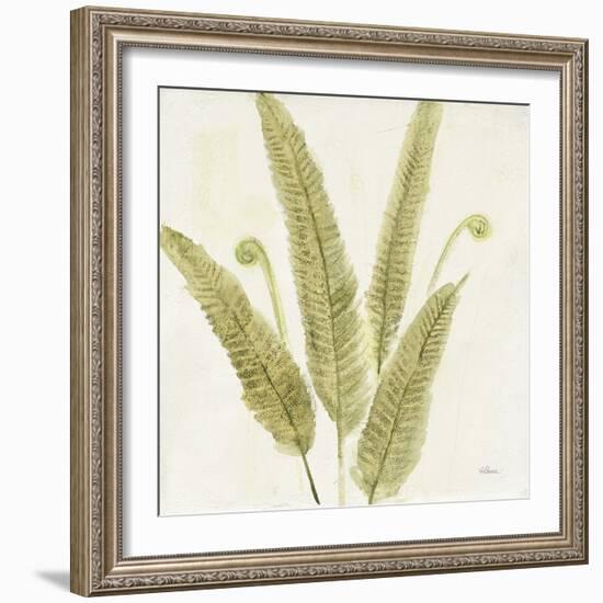 Forest Ferns II-Albena Hristova-Framed Art Print