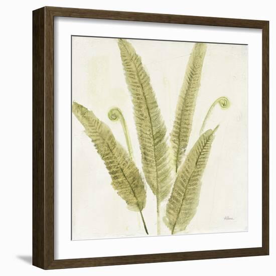 Forest Ferns II-Albena Hristova-Framed Art Print