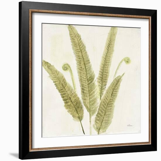 Forest Ferns II-Albena Hristova-Framed Art Print