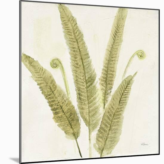 Forest Ferns II-Albena Hristova-Mounted Art Print