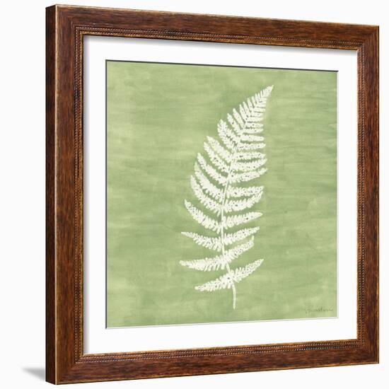 Forest Ferns III-Vanna Lam-Framed Art Print