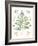 Forest Finds IX-Beth Grove-Framed Art Print