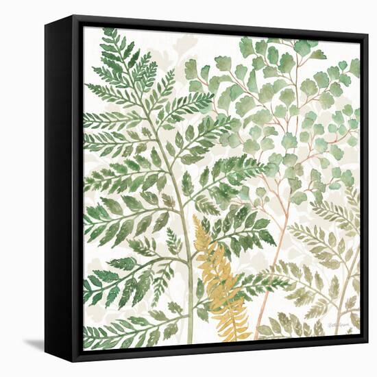 Forest Finds VI-Beth Grove-Framed Stretched Canvas
