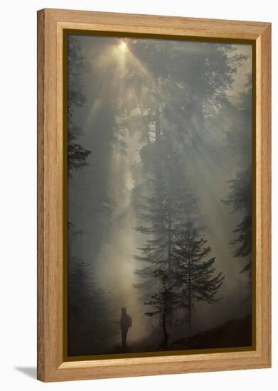 Forest Fire, Sequoia and Kings Canyon National Park, California, USA-Gerry Reynolds-Framed Premier Image Canvas