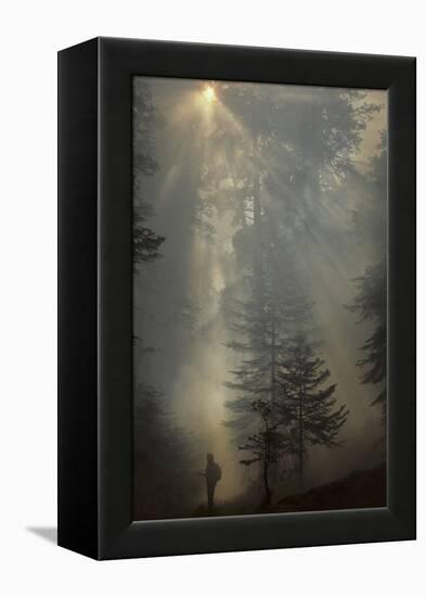 Forest Fire, Sequoia and Kings Canyon National Park, California, USA-Gerry Reynolds-Framed Premier Image Canvas