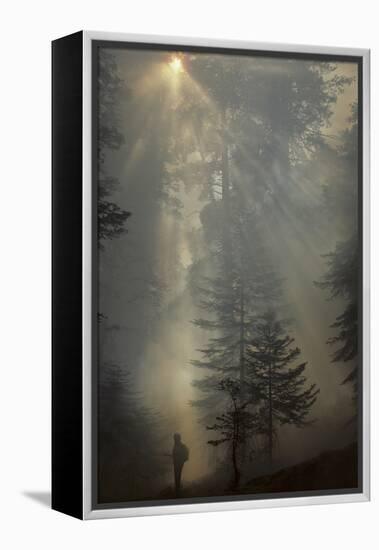 Forest Fire, Sequoia and Kings Canyon National Park, California, USA-Gerry Reynolds-Framed Premier Image Canvas