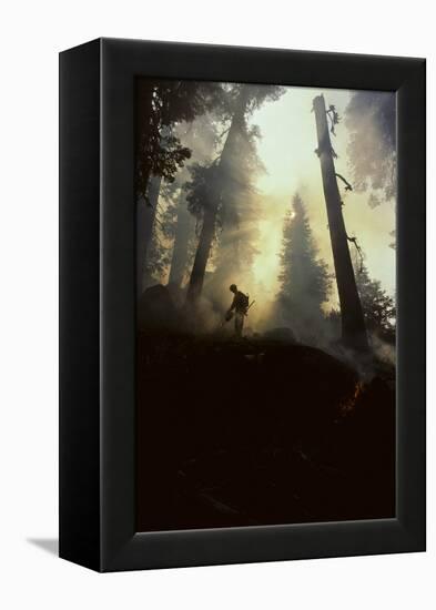 Forest Fire, Sequoia and Kings Canyon National Park, California, USA-Gerry Reynolds-Framed Premier Image Canvas