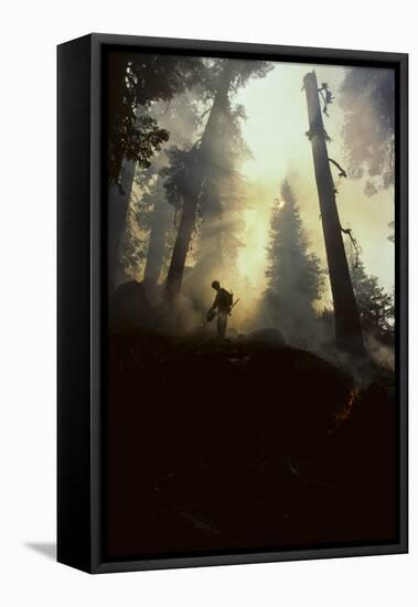 Forest Fire, Sequoia and Kings Canyon National Park, California, USA-Gerry Reynolds-Framed Premier Image Canvas