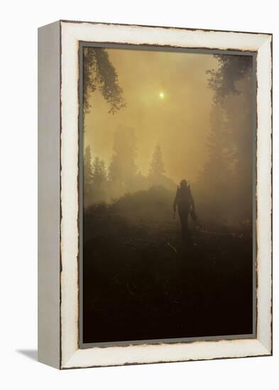 Forest Fire, Sequoia and Kings Canyon National Park, California, USA-Gerry Reynolds-Framed Premier Image Canvas