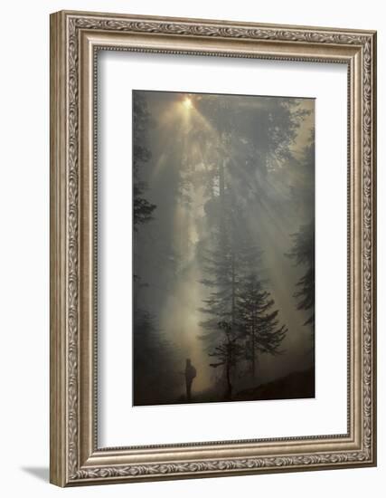 Forest Fire, Sequoia and Kings Canyon National Park, California, USA-Gerry Reynolds-Framed Photographic Print