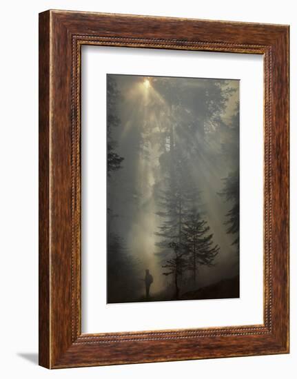 Forest Fire, Sequoia and Kings Canyon National Park, California, USA-Gerry Reynolds-Framed Photographic Print