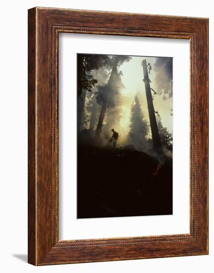 Forest Fire, Sequoia and Kings Canyon National Park, California, USA-Gerry Reynolds-Framed Photographic Print