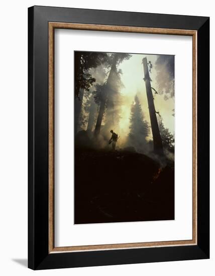 Forest Fire, Sequoia and Kings Canyon National Park, California, USA-Gerry Reynolds-Framed Photographic Print