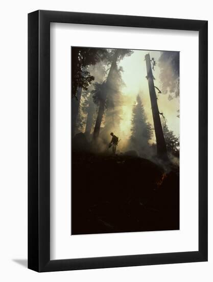 Forest Fire, Sequoia and Kings Canyon National Park, California, USA-Gerry Reynolds-Framed Photographic Print