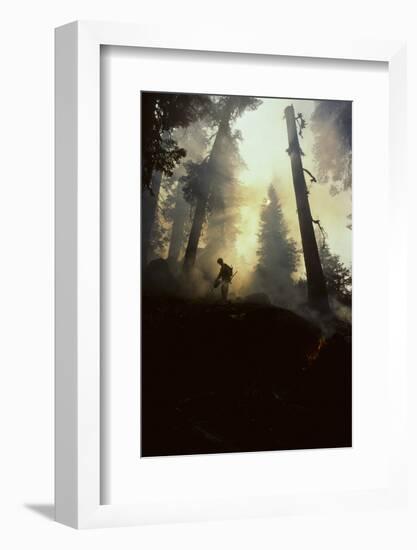 Forest Fire, Sequoia and Kings Canyon National Park, California, USA-Gerry Reynolds-Framed Photographic Print