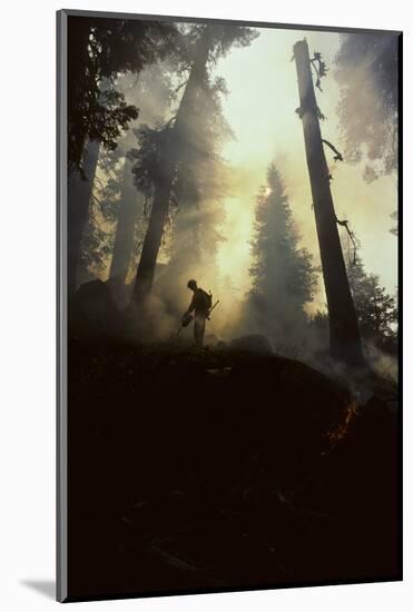Forest Fire, Sequoia and Kings Canyon National Park, California, USA-Gerry Reynolds-Mounted Photographic Print