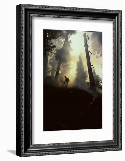 Forest Fire, Sequoia and Kings Canyon National Park, California, USA-Gerry Reynolds-Framed Photographic Print