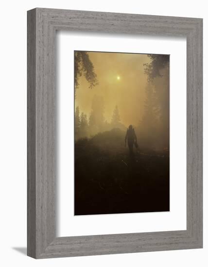 Forest Fire, Sequoia and Kings Canyon National Park, California, USA-Gerry Reynolds-Framed Photographic Print