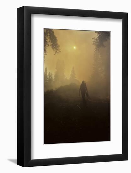 Forest Fire, Sequoia and Kings Canyon National Park, California, USA-Gerry Reynolds-Framed Photographic Print